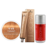 TINTA P/ CABELO SCHWARZKOPF IGORA ROYAL 9-60 60G + LOÇÃO 60ML