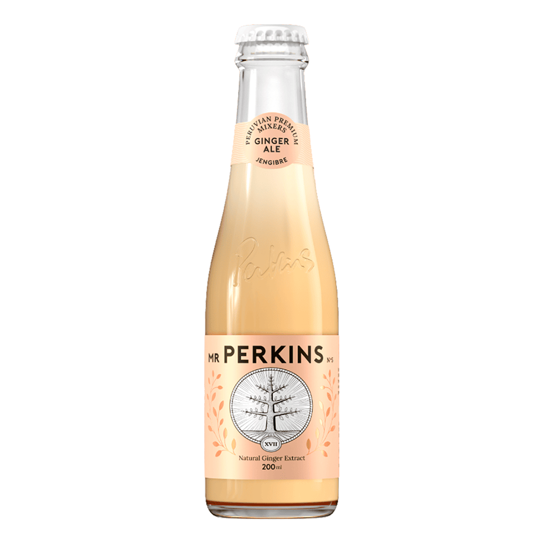 BEB AGUA TONICA MR PERKINS GINGER ALE 200ML
