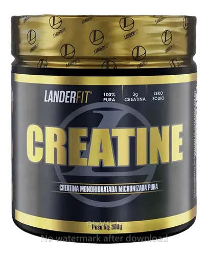 CREATINE LANDERFIT 300 GR-BR