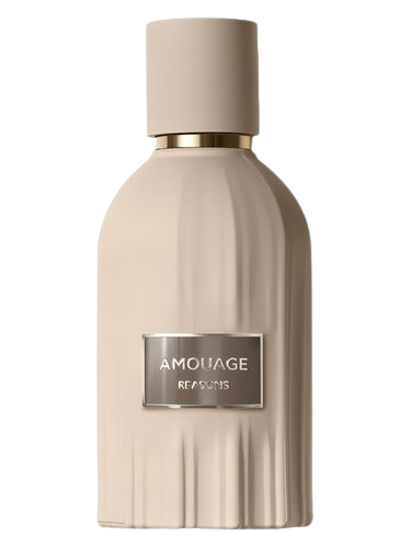 AMOUAGE REASONS ESSENCE EDP 100ML