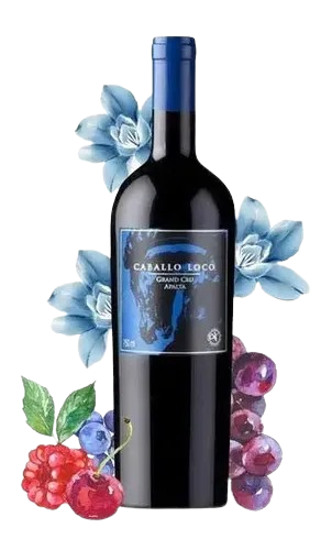 BEB VINHO CHILE CABALLO LOCO 750ML