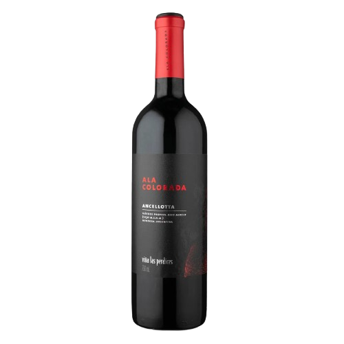BEB VINHO ARG ALA COLORADA ANCELLOTTA 750ML
