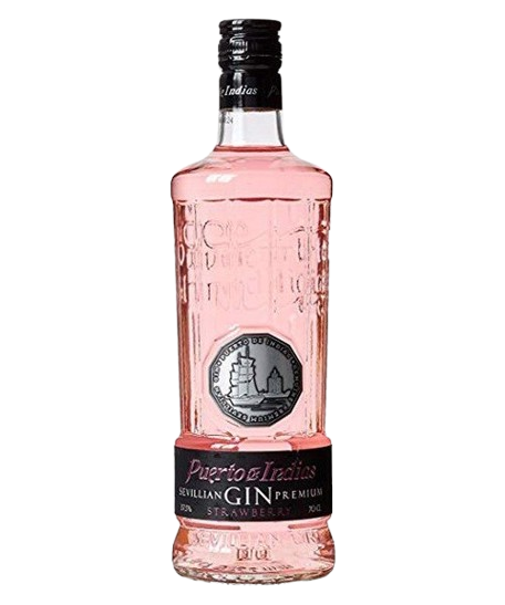 GIN Puerto DE Indias Strawberry 1L