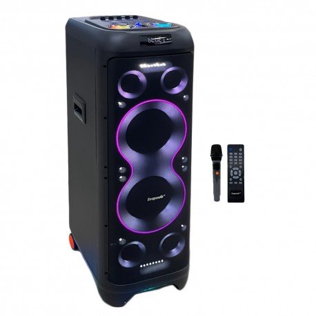 CX SOM ECOPOWER EP-1993 10"/100W/1MIC