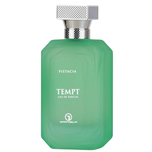 GRANDEUR TEMPT PISCACIA FEM 100ML EDP 042950 | LG Importados