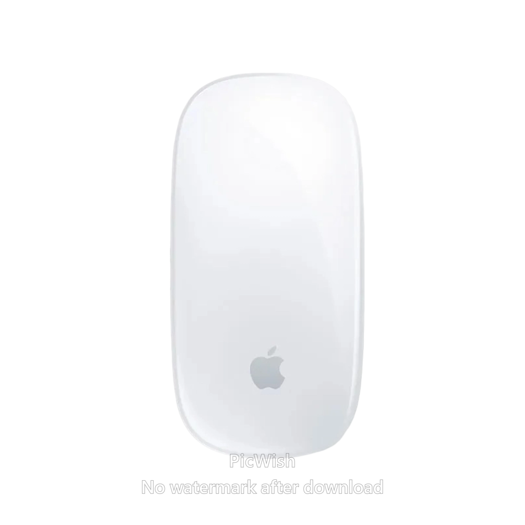 MOUSE WIR APPLE MAGIC 2 MXK53ZA/A A-3204 USB-C WHITE