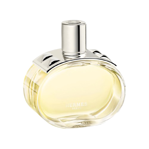 HERMES UN JARDIN SUR LA LAGUNE FEM 100ML EDT 600050 | LG Importados