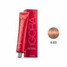TINTA PRA CABELO SCHWARZKOPF IGORA ROYAL 8-65 60G +LOÇAO 60ML