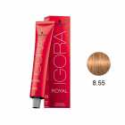 TINTA PRA CABELO SCHWARZKOPF IGORA ROYAL 8-55 60G +LOÇAO 60ML