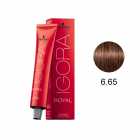 TINTA PRA CABELO SCHWARZKOPF IGORA ROYAL 6-65 60G +LOÇAO 60ML
