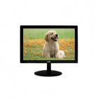 MONITOR LED 15.6
