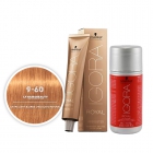 TINTA P/ CABELO SCHWARZKOPF IGORA ROYAL 9-60 60G + LOÇÃO 60ML