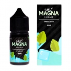 JUICE VAPE E.LIQUID SALT MAGNA MINT SPEARMINT 35MG 30ML