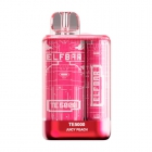 POD ELF BAR TE-5000 5000PUFF JUICY PEACH 5%