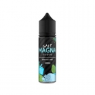 JUICE VAPE E.LIQUID SALT MAGNA MENTHOL STRONG MINT 35MG 15ML*