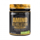 WHEY AMINO LANDERFIT REVOLUTION ELECTROLYTES GREEN APPLE 480G