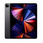 IPAD PRO APPLE 5TH 256GB SPACE GRAY