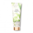 LOÇÃO VICTORIA'S SECRET NOVO CUCUMBER & GREEN TEA 236ML