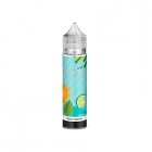 JUICE VAPE E.LIQUID SALT MAGNA MINT FRESH MANGO 0MG 60ML