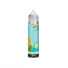 JUICE VAPE E.LIQUID SALT MAGNA MINT FRESH MANGO 3MG 60ML