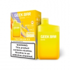 POD GEEKBAR 5000 PUFF FUJI MELON ICE 5% 14ML