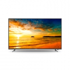 TV LED 49