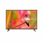 TV LED 50