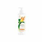 CONDICIONADOR DOVE PODER DE LAS PLANTAS PURIFICACION+JENGIBRE 300ML