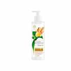 SHAMPOO DOVE PODER DE LAS PLANTAS PIRIFICACION+JENGIBRE 300ML
