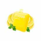 CIGARRO DESC POD ELF BAR PI-9000 9000PUFF LEMON MINT 5% 15ML