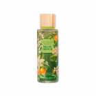 SPLASH VICTORIA'S SECRET NOVO MELON DRENCH 250ML
