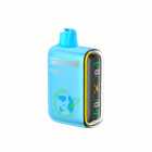 CIGARRO DESC POD GEEKBAR PULSE 15000 PUFF MIAMI MINT 5% 16ML