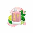 CIGARRO DESC POD OXBAR G8000 8000PUFF LEMON MINT 5% 16ML