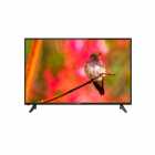 TV LED 50