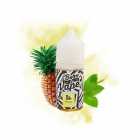 JUICE VAPE E.LIQUID BORN TO VAPE N.SALT PINEMINT 20MG 30ML