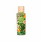 SPLASH VICTORIA'S SECRET NOVO MELON DRENCH 250ML