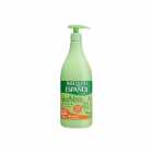 CREME CORPORAL INSTITUTO ESPANHOL ALOE VERA 950ML