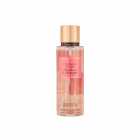 SPLASH VICTORIA'S SECRET NOVO STRAWBERRIES & CHAMPAGNE 250ML
