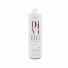 CONDICIONADOR BRAE DIVINE ABSOLUTELY SMOOTH ANTI FRIZZ 1LI