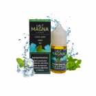 JUICE VAPE E.LIQUID SALT MAGNA COOL MINT 20MG 30ML