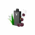 CIGARRO POD IGNITE V250 25000PUFF BLACK ALOE GRAPE ICE