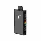 CIGARRO POD IGNITE V250 25000PUFF BLACK MINTY MELON