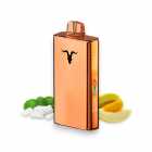 CIGARRO POD IGNITE V250 25000PUFF GOLD MINTY MELON