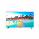 TV LED 55