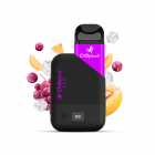 CIGARRO  POD CHILLY BEATS NEO PRO 8000PUFF GRAPE MELON ICE