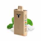 CIGARRO POD IGNITE V80 8000PUFF GOLD ICY MINT