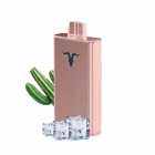CIGARRO POD IGNITE V80 8000PUFF ROSE CACTUS ICE
