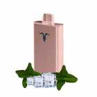 CIGARRO POD IGNITE V80 8000PUFF ROSE ICY MINT