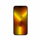 APPLE SEMI NOVO IPHONE 13 PRO MAX 256GB GOLD SO APARELHO 30 DIAS DE GARANTIA