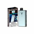  DESCARTAVEL POD IGNITE 40K ICE MINT